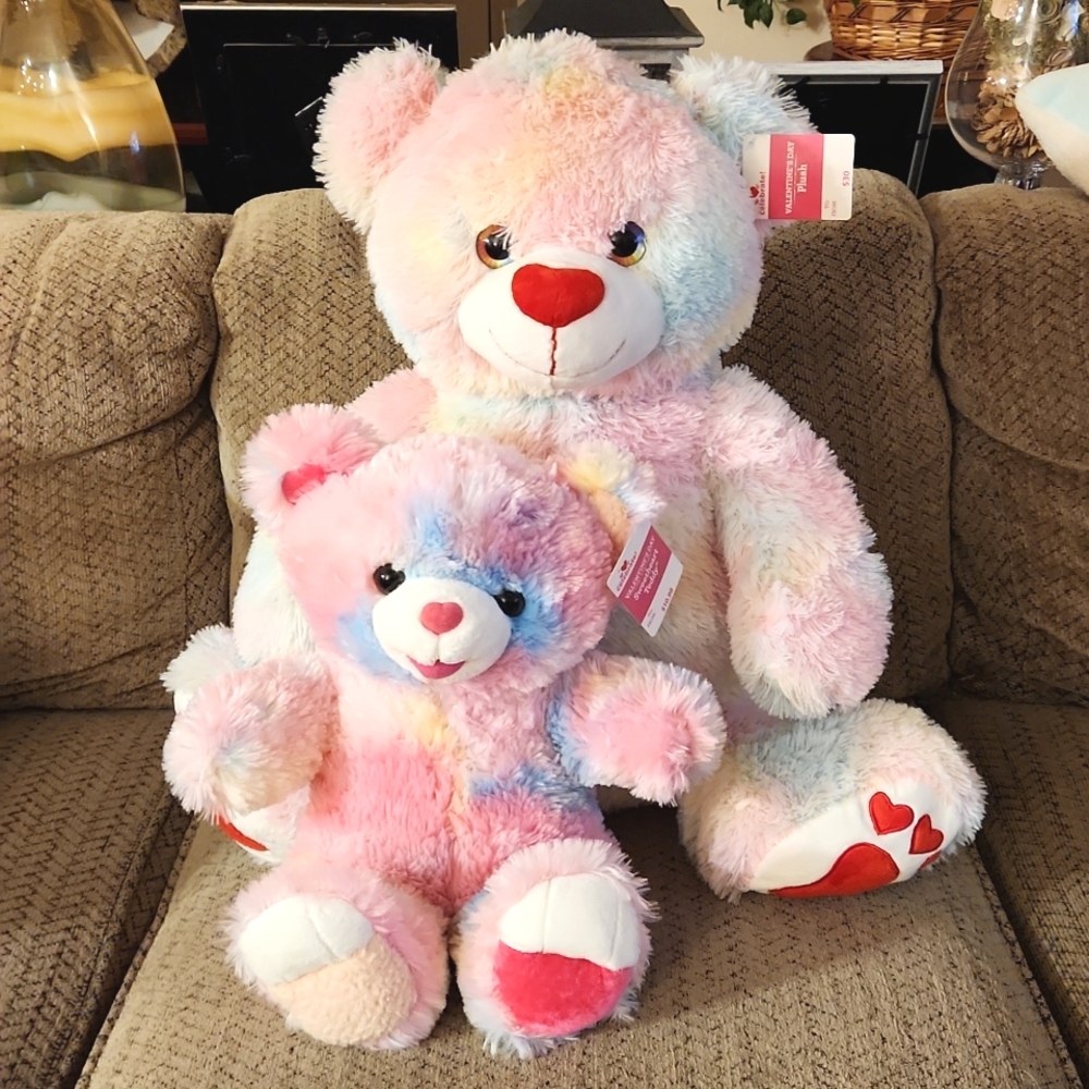 Plush Rainbow bear set